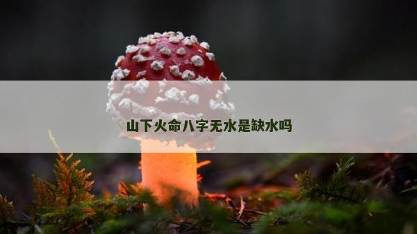 山下火命八字無水是缺水嗎