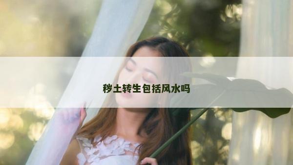 穢土轉生包括風水嗎