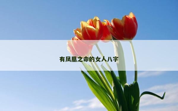 有鳳凰之命的女人八字