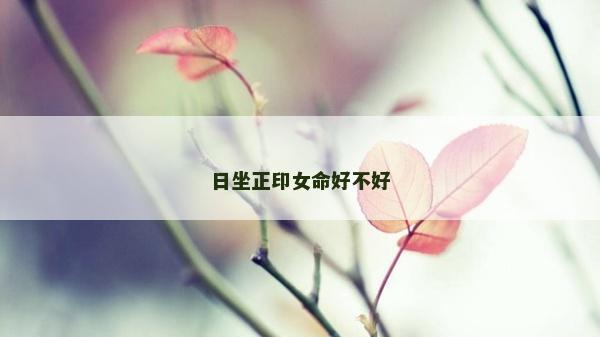 日坐正印女命好不好