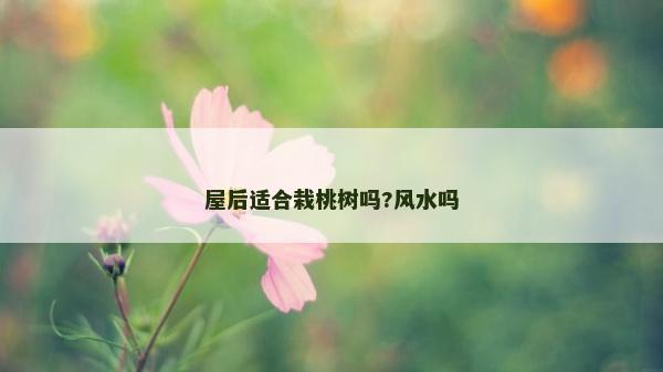 屋后適合栽桃樹嗎?風水嗎