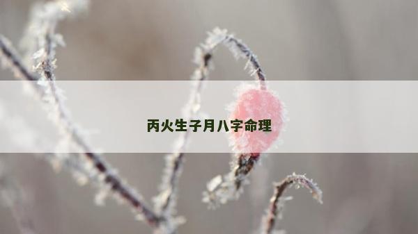 丙火生子月八字命理