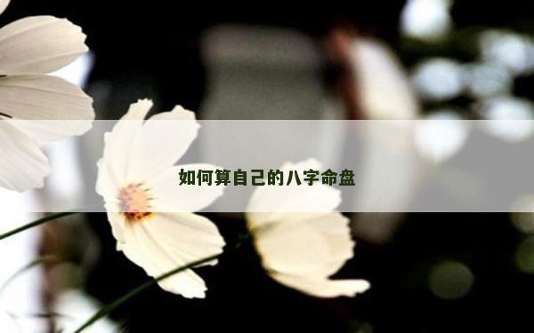 如何算自己的八字命盤