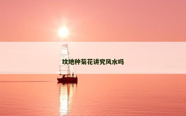 墳地種菊花講究風(fēng)水嗎