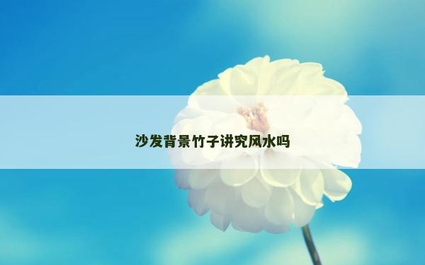 沙發背景竹子講究風水嗎