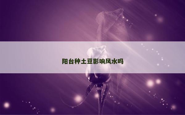 陽臺種土豆影響風水嗎