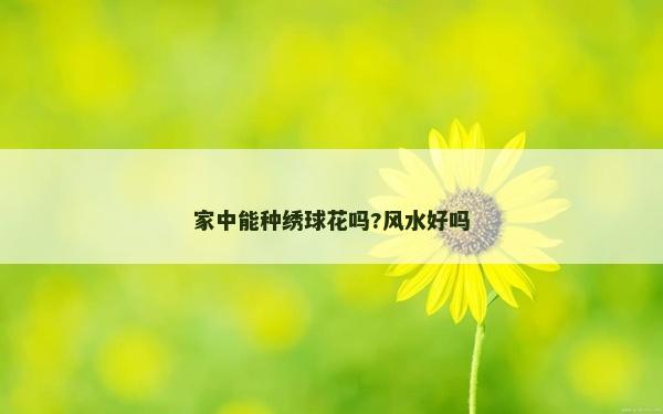 家中能種繡球花嗎?風水好嗎