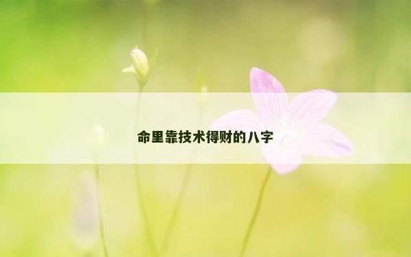 命里靠技術得財的八字