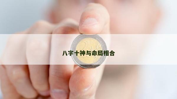 八字十神與命局相合