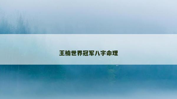 王楠世界冠軍八字命理
