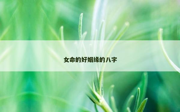 女命的好姻緣的八字