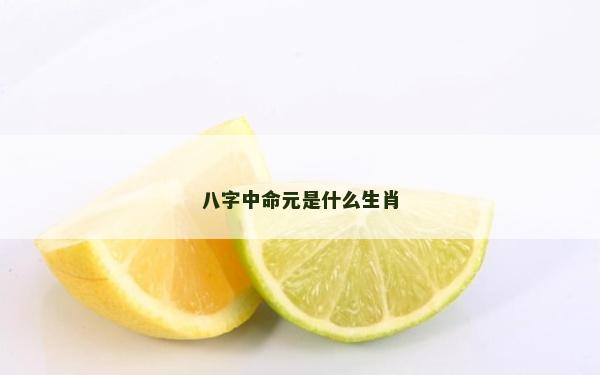 八字中命元是什么生肖