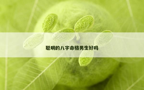 聰明的八字命格男生好嗎