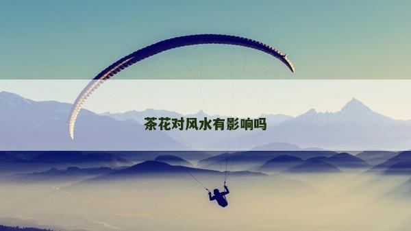 茶花對(duì)風(fēng)水有影響嗎