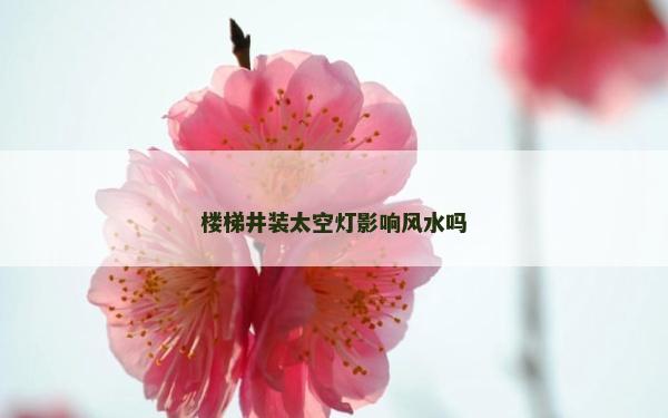 樓梯井裝太空燈影響風(fēng)水嗎
