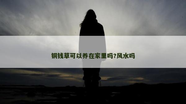 銅錢草可以養(yǎng)在家里嗎?風(fēng)水嗎