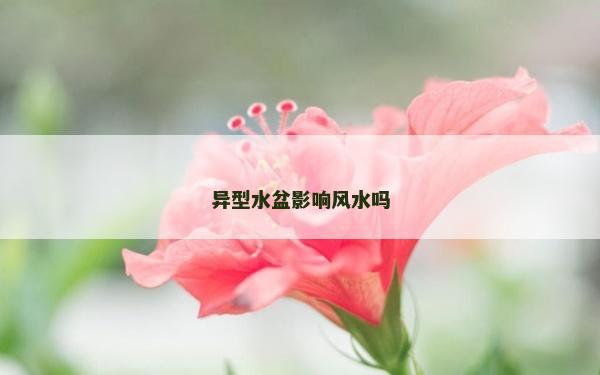 異型水盆影響風(fēng)水嗎