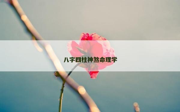 八字四柱神煞命理學