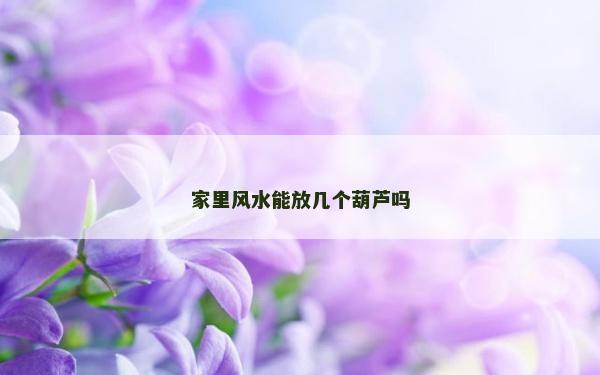 家里風水能放幾個葫蘆嗎