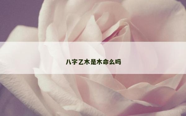 八字乙木是木命么嗎