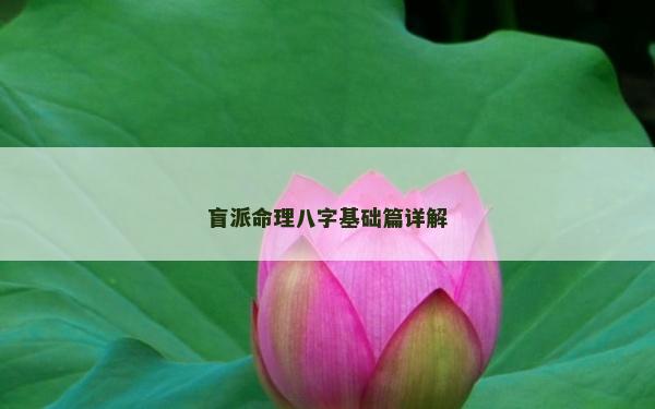 盲派命理八字基礎篇詳解