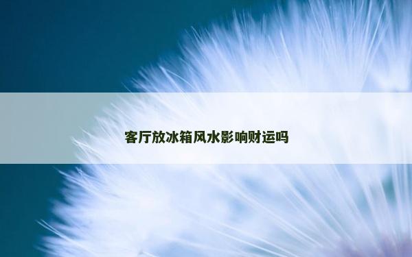 客廳放冰箱風水影響財運嗎 客廳放冰箱風水影響財運嗎