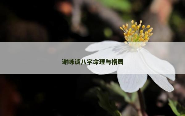 謝詠談八字命理與格局