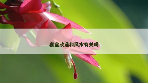 寢室改造和風水有關嗎