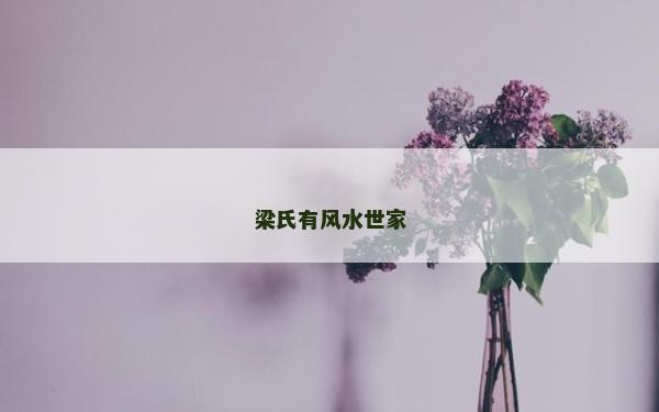 梁氏有風水世家
