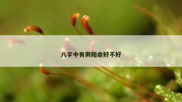 八字中有陰陽命好不好