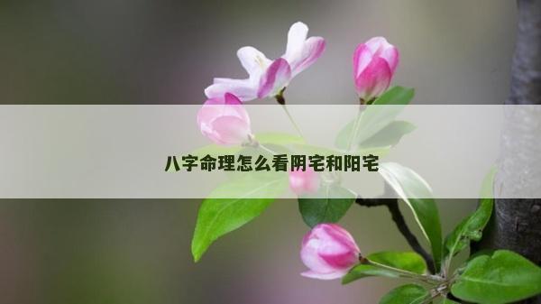 八字命理怎么看陰宅和陽宅