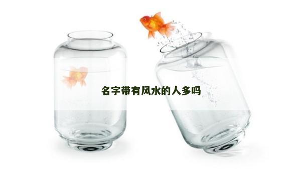 名字帶有風(fēng)水的人多嗎 名字帶有風(fēng)水的人多嗎