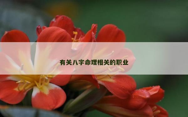 有關(guān)八字命理相關(guān)的職業(yè)