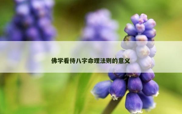 佛學看待八字命理法則的意義