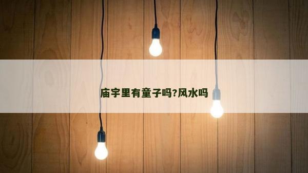 廟宇里有童子嗎?風水嗎