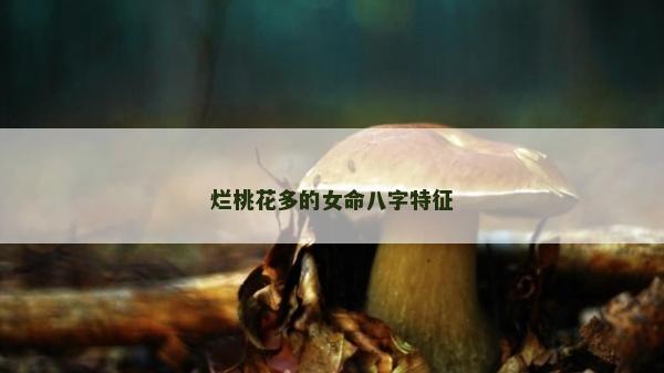 爛桃花多的女命八字特征