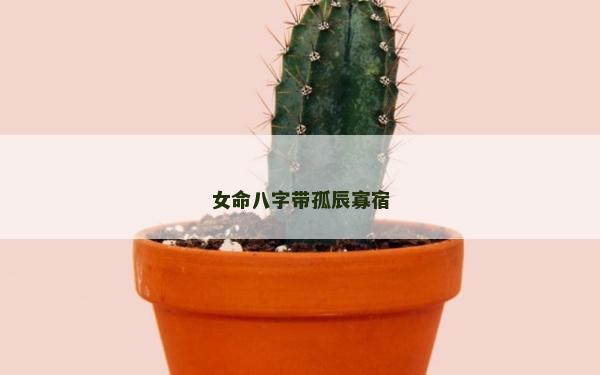 女命八字帶孤辰寡宿