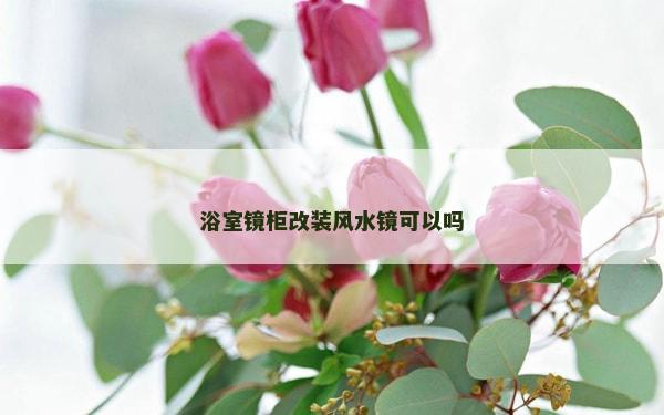 浴室鏡柜改裝風水鏡可以嗎