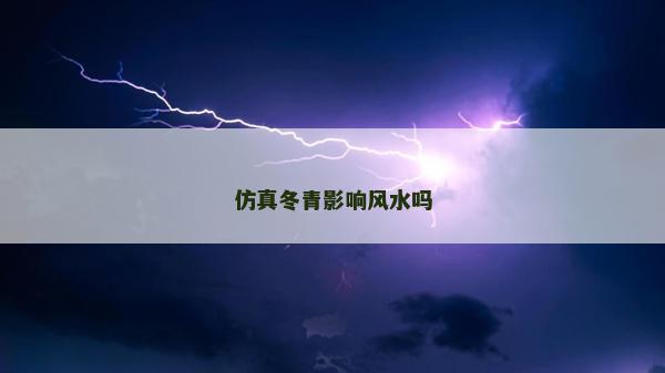 仿真冬青影響風水嗎