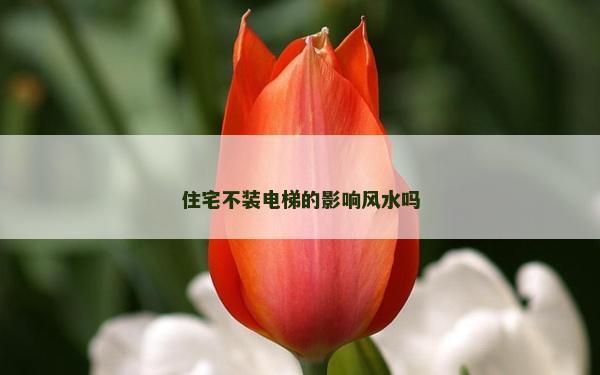 住宅不裝電梯的影響風水嗎