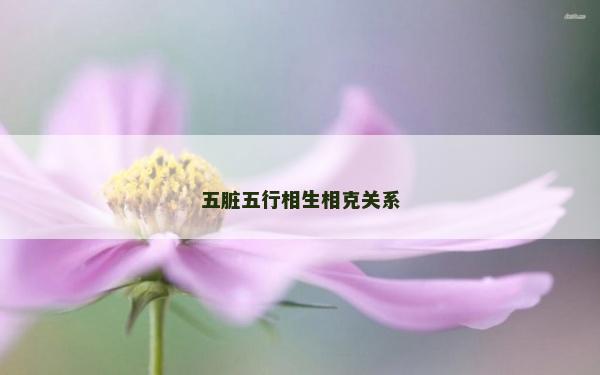 五臟五行相生相克關系