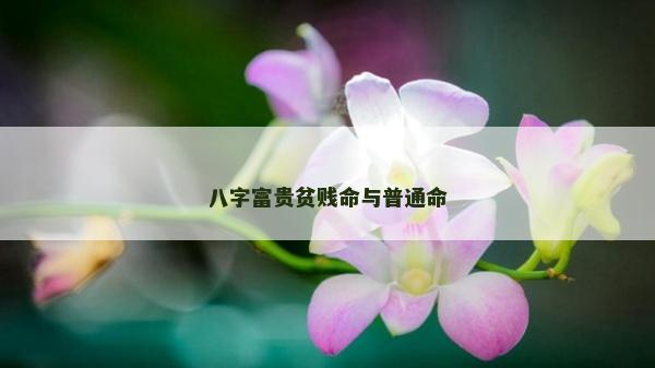 八字富貴貧賤命與普通命