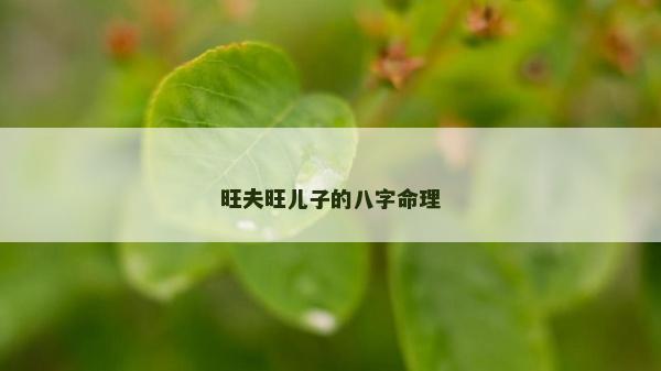 旺夫旺兒子的八字命理