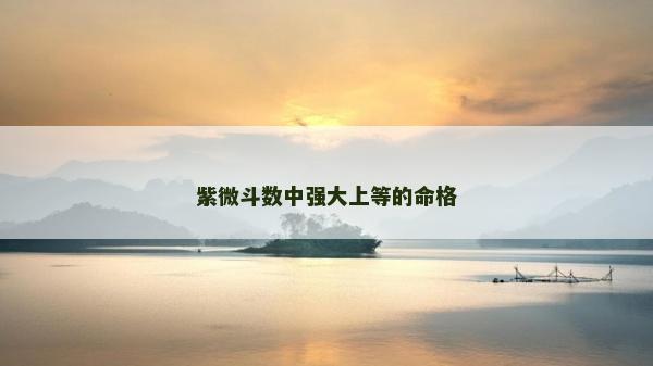 紫微斗數(shù)中強(qiáng)大上等的命格