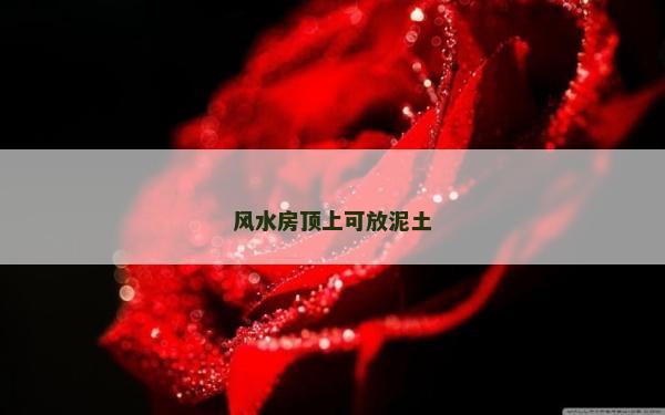 風水房頂上可放泥土