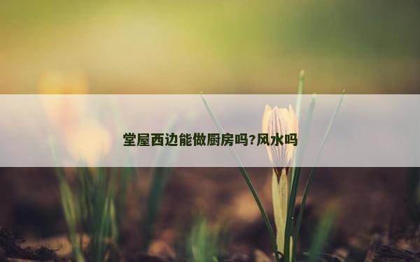 堂屋西邊能做廚房嗎?風水嗎