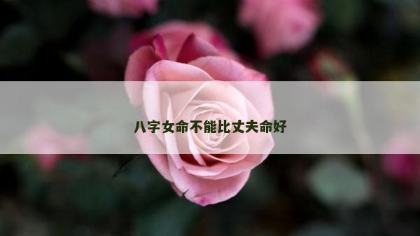 八字女命不能比丈夫命好