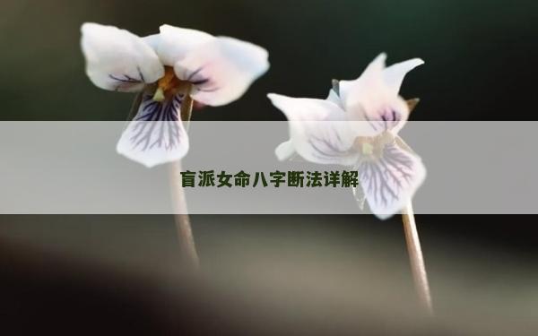 盲派女命八字斷法詳解