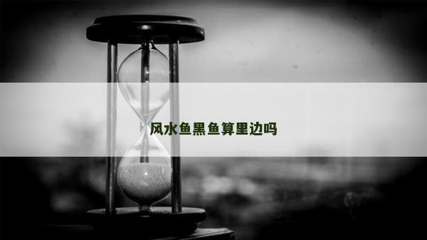 風水魚黑魚算里邊嗎