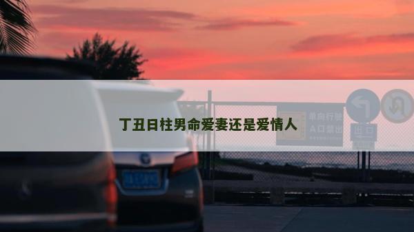丁丑日柱男命愛妻還是愛情人